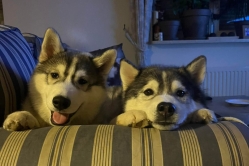 Lumi 2